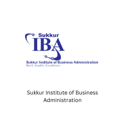 Sukkur Institute of Business Administration BeeHive Consultants Pvt Ltd Entrepreneurship Startups